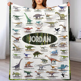 Personalized Dinosaur Educational Blanket – Custom Educational Blanket – Gift for Kids